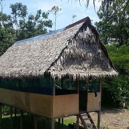 Selvaventura Ecolodge Iquitos Mazan Room photo